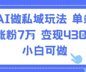 AI私域实操玩法详解:单条视频涨粉7万变现4300 小白可上手-雨叶虚拟资源网