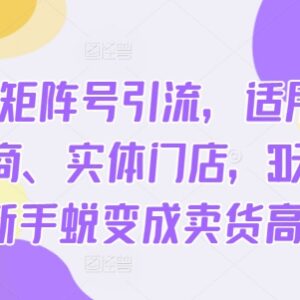 小红书矩阵号引流全阶教程 电商微商实体零基础30天成卖货高手-雨叶虚拟资源网