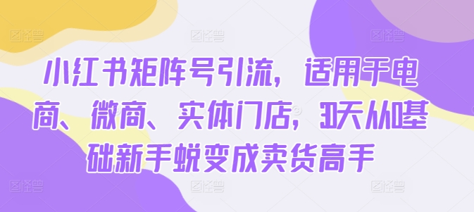 小红书矩阵号引流全阶教程 电商微商实体零基础30天成卖货高手