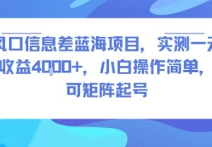 实测单日收益4k+信息差蓝海项目 小白易操作可矩阵批量起号-雨叶虚拟资源网