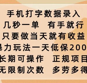 正规零投入手机打字数据录入项目 操作易上手当日即可获得收益-雨叶虚拟资源网