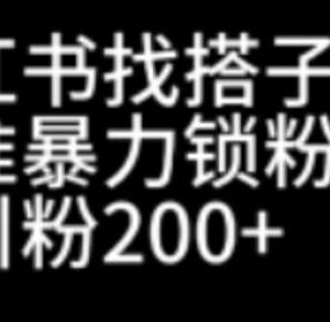 小红书找搭子功能引流实操技巧 日引200+精准粉玩法攻略-雨叶虚拟资源网