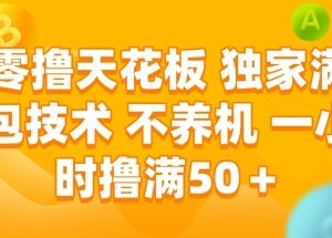 无需养机零撸满包技术 看广告短剧一小时赚50+项目揭秘-雨叶虚拟资源网