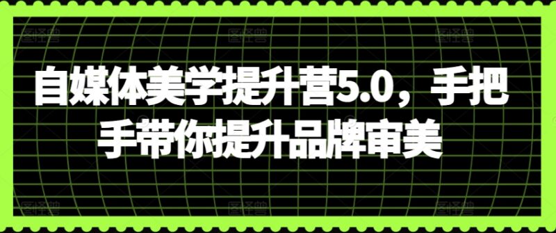 自媒体美学提升营5.0教程 手把手提升品牌审美撬动流量变现