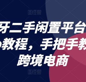 西班牙二手闲置平台Wallapop实操教程 跨境电商全流程教学-雨叶虚拟资源网