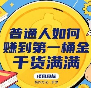 普通人赚取第一桶金实操方法 赛道选择及运营技巧全攻略-雨叶虚拟资源网