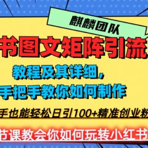 2023小红书图文矩阵实操玩法 新手引流精准创业粉全流程教学-雨叶虚拟资源网