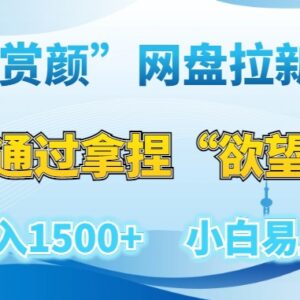 赏颜类网盘拉新赛道实操拆解 新手易上手低门槛变现攻略-雨叶虚拟资源网