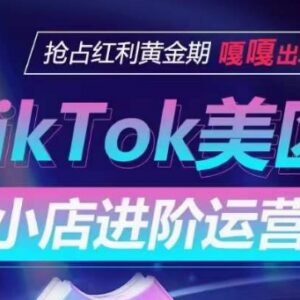 TikTok Shop美区小店进阶运营教程 全流量渠道玩法拆解助力出单-雨叶虚拟资源网