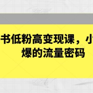 小红书低粉高变现运营课程 热门赛道流量密码及获客方法拆解-雨叶虚拟资源网