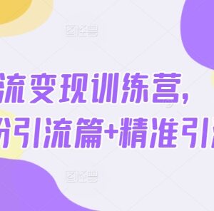 热点引流变现训练营全教程 含先导泛粉精准引流实操内容-雨叶虚拟资源网