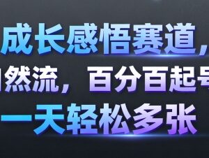 成长感悟赛道纯自然流起号攻略 高起号率多变现模式详解-雨叶虚拟资源网