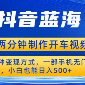 开车第一视角视频蓝海项目教程 小白零门槛可多方式变现-雨叶虚拟资源网