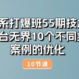 淘系万相台无界10个不同类目优化案例 10节实操运营教程-雨叶虚拟资源网