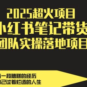 2025小红书笔记带货副业实操教程 团队落地玩法全流程解析-雨叶虚拟资源网