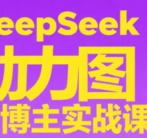 DeepSeek图书博主实战教程 从0到1学账号搭建选品内容制作技巧-雨叶虚拟资源网