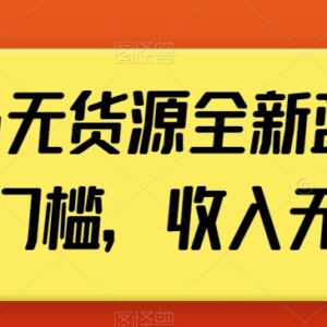 小红书无货源蓝海项目实操指南 低门槛选品变现玩法详解-雨叶虚拟资源网