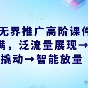 2024无界推广高阶课件 从流量撬动到智能放量全流程实操教程-雨叶虚拟资源网