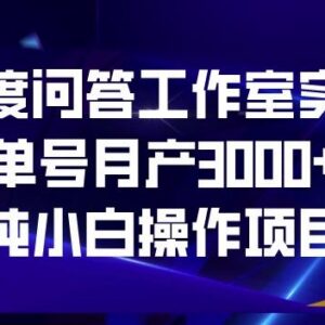 百度问答工作室实操项目全解析 纯小白可做单号月收益3000+-雨叶虚拟资源网