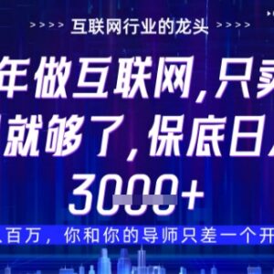 2025年网创创业新风向 卖项目比做项目更稳妥的盈利逻辑详解-雨叶虚拟资源网