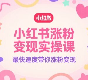 2024小红书涨粉变现实操课 全流程掌握账号运营爆文技巧-雨叶虚拟资源网