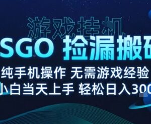 2024年8月CSGO游戏搬砖捡漏项目 无需手动操作可月入过万-雨叶虚拟资源网