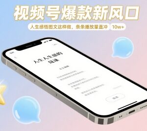 视频号人生感悟图文爆款攻略 新手也能做出10w+播放内容-雨叶虚拟资源网