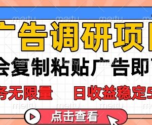 复制粘贴抖音广告即可操作 无门槛稳定收益副业项目全指南-雨叶虚拟资源网