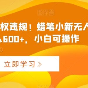 快手蜡笔小新无违规无人直播 磁力巨星小铃铛收益实操教程-雨叶虚拟资源网