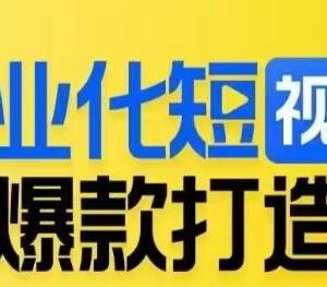 商业化短视频爆款打造课 详解高变现内容运营核心逻辑-雨叶虚拟资源网
