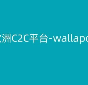 欧洲C2C平台Wallapop跨境电商从注册到发货全流程实操教程-雨叶虚拟资源网
