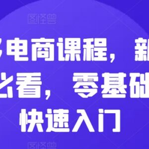 零基础拼多多电商入门课程 新手小白开店运营全流程教学-雨叶虚拟资源网
