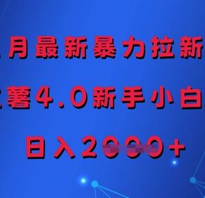 2024年5月小红书4.0拉新项目 零经验新手可做门槛低易变现-雨叶虚拟资源网