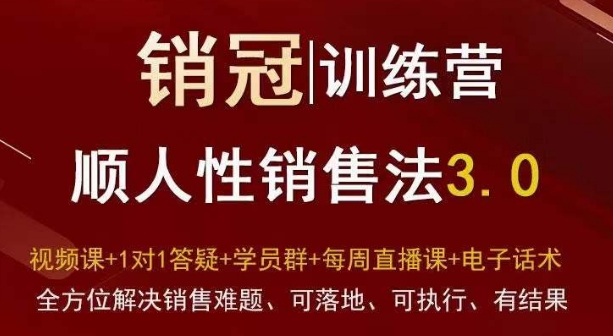 销冠训练营3.0顺人性销售法 可落地解决全流程销售实战难题