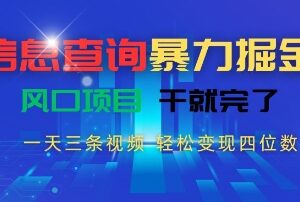 抖音信息查询赛道变现项目 日更3条视频轻松赚四位数实操攻略-雨叶虚拟资源网