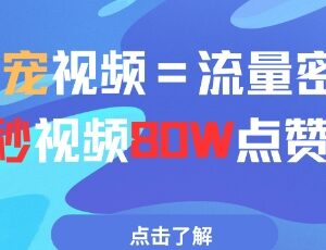 AI制作萌宠短视频玩法详解 5秒作品获80万点赞零门槛可上手-雨叶虚拟资源网
