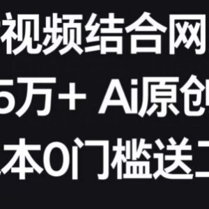 AI美女视频结合网盘拉新玩法拆解 零门槛原创视频变现教程-雨叶虚拟资源网