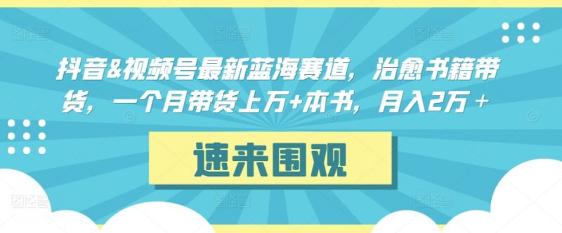抖音及视频号治愈书籍带货蓝海赛道解析 新手易上手月入2万+