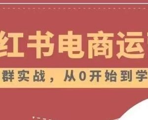 小红书店铺运营2.0干货合集 从零基础入门到高阶实操全指南-雨叶虚拟资源网