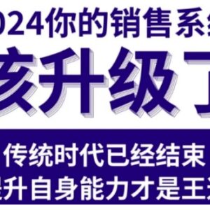 2024可落地销售实战课 适配买方市场的销售系统升级教程-雨叶虚拟资源网