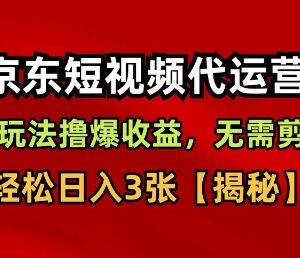 京东短视频带货无剪辑无选品玩法 新手易操作的增收项目解析-雨叶虚拟资源网
