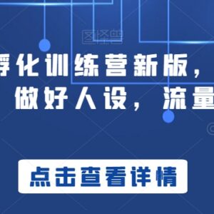 新版商业IP孵化训练营 人设打造流量运营变现全流程教学-雨叶虚拟资源网