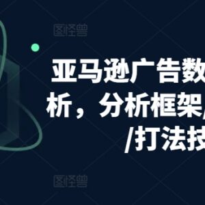亚马逊广告数据拆解分析 含分析框架层级优化及实操打法技巧-雨叶虚拟资源网