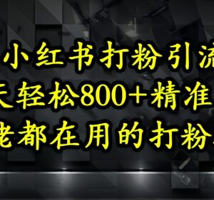 2025小红书精准引流教程 单账号日均获500+垂直创业流量-雨叶虚拟资源网