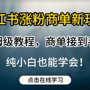 小红书涨粉接商单实操教程 新手可上手的低门槛副业玩法-雨叶虚拟资源网