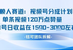 视频号分成计划新赛道玩法 高收益内容运营实操攻略-雨叶虚拟资源网