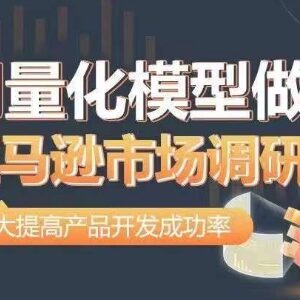 用量化模型做亚马逊市场调研实操教程 高效提升产品开发成功率-雨叶虚拟资源网
