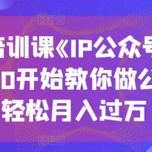 《IP公众号训练营》教程 零基础学公众号运营掌握变现全流程-雨叶虚拟资源网