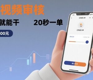 商品视频审核低门槛副业介绍 仅需手机即可随时操作接单-雨叶虚拟资源网