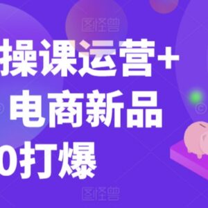99节电商运营推广实操课 手把手教你新品从0打爆全流程-雨叶虚拟资源网